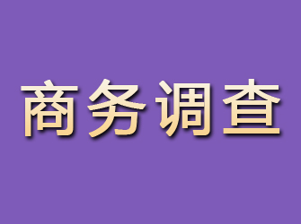 阳信商务调查